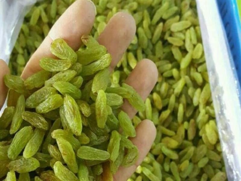 کشمش سبز آفتابی خرید